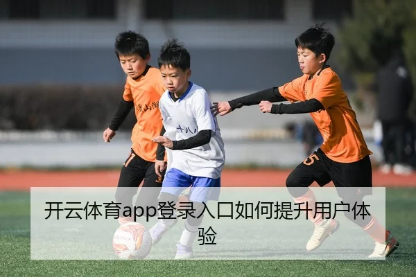 开云体育app登录入口如何提升用户体验