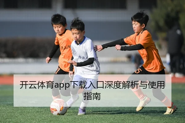 开云体育app下载入口深度解析与使用指南