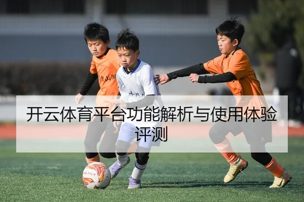 开云体育平台功能解析与使用体验评测