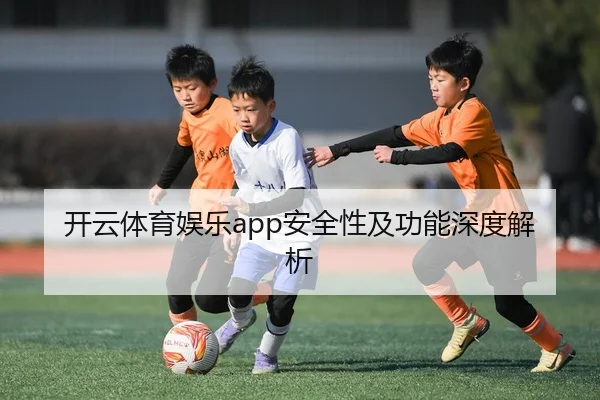开云体育娱乐app安全性及功能深度解析