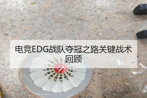 电竞EDG战队夺冠之路关键战术回顾