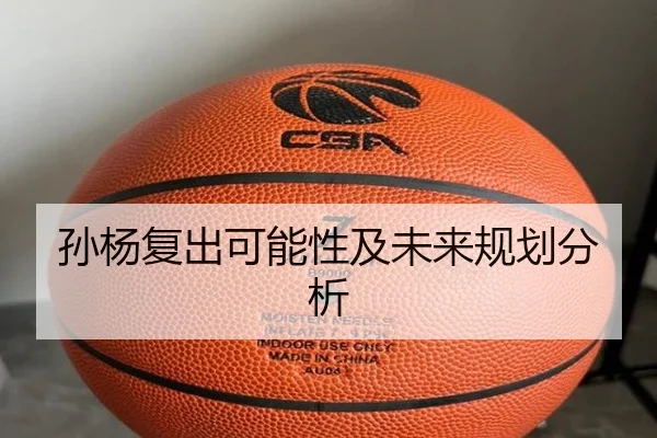 孙杨复出可能性及未来规划分析
